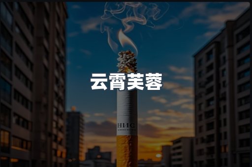云霄芙蓉